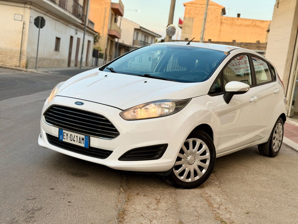 Ford Fiesta 1.4 5 porte Bz.- GPL Titanium (20)