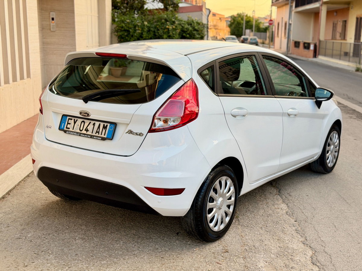 Ford Fiesta 1.4 5 porte Bz.- GPL Titanium (3)