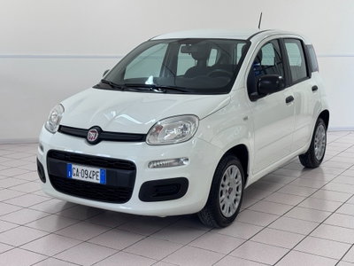 Fiat Panda 1.2 Easy usata