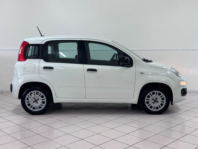 Fiat Panda 1.2 Easy (4)