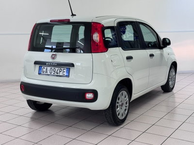 Fiat Panda 1.2 Easy (5)