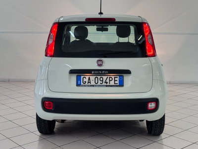 Fiat Panda 1.2 Easy (6)
