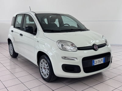 Fiat Panda 1.2 Easy (3)