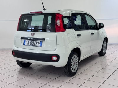 Fiat Panda 1.2 Easy (5)