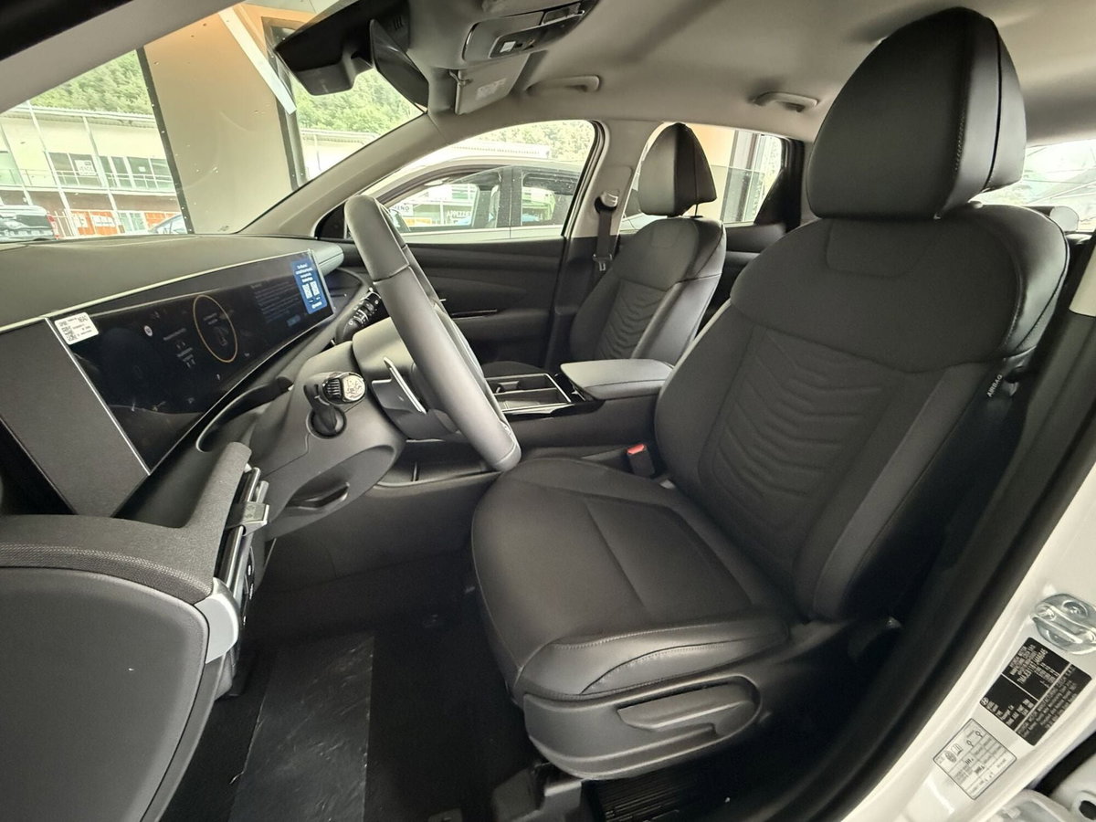 Hyundai Tucson 1.6 hev Exellence 2wd auto (12)