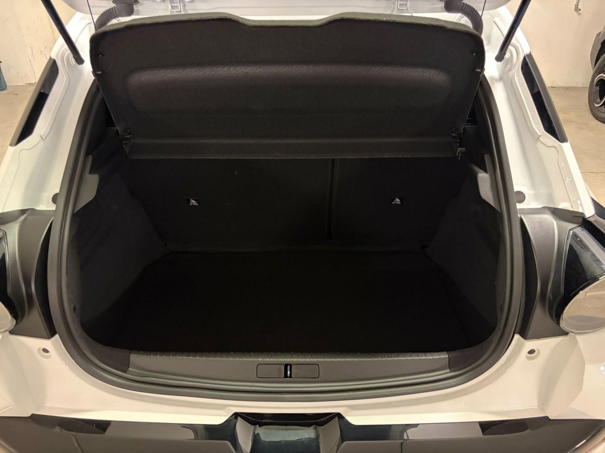 Lancia Ypsilon 54kWh LX 156cv (6)