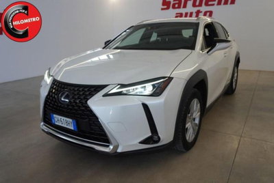 Lexus UX Hybrid Business (2)