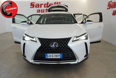Lexus UX Hybrid Business (4)