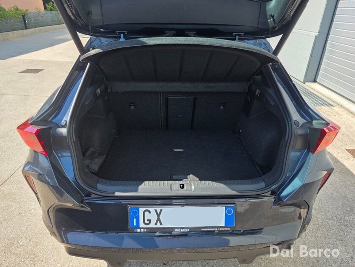 Cupra Formentor Formentor 2.0 TDI (10)