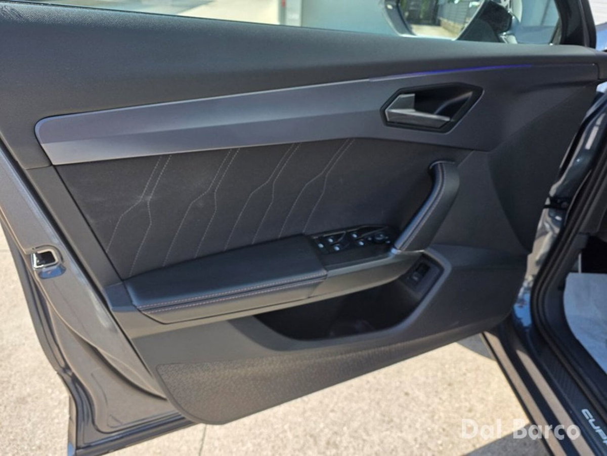 Cupra Formentor Formentor 2.0 TDI (11)