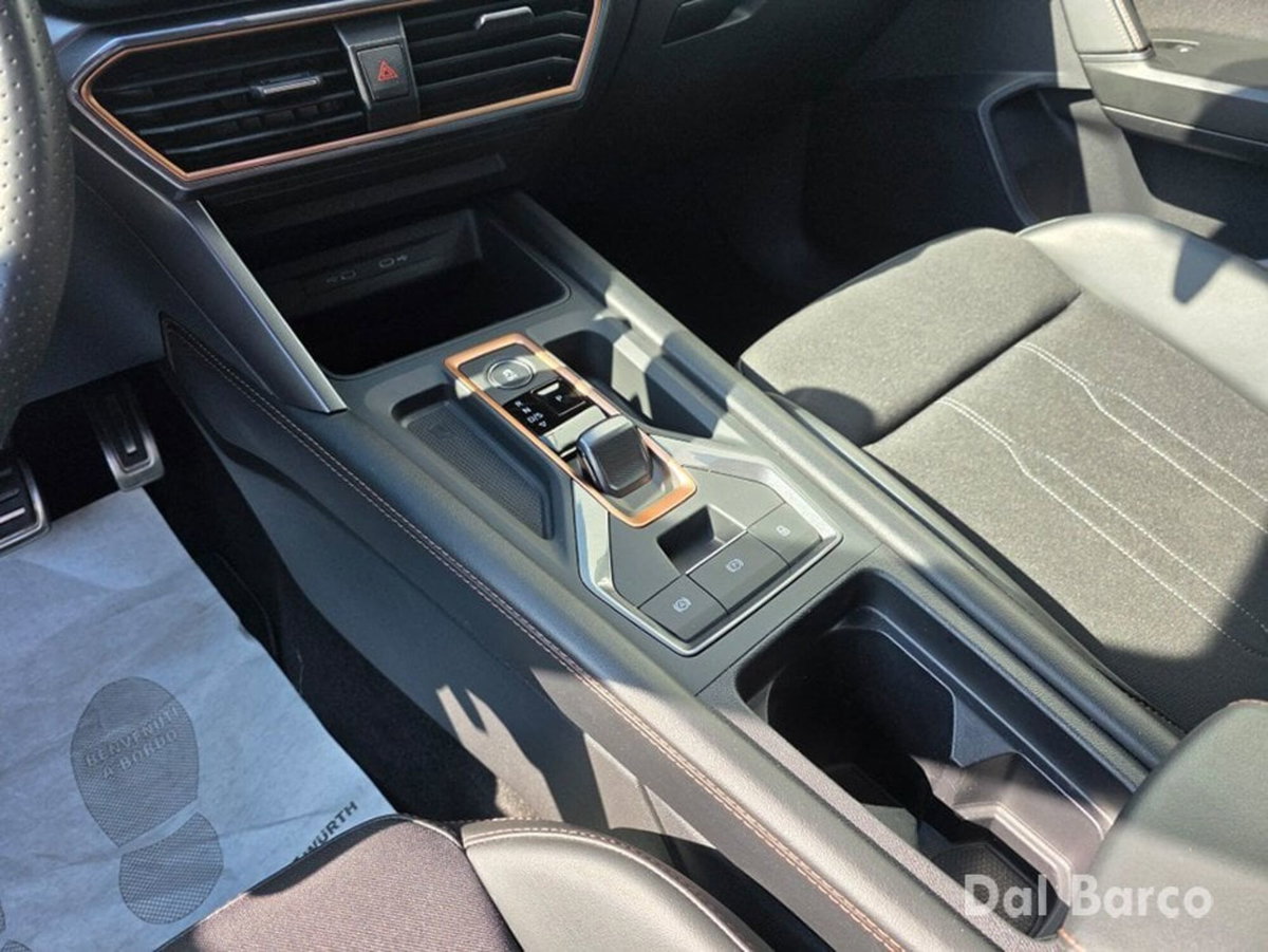 Cupra Formentor Formentor 2.0 TDI (12)