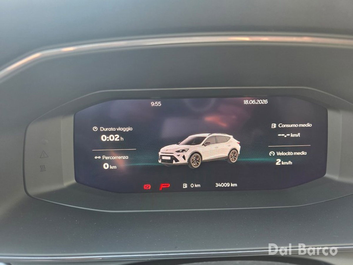 Cupra Formentor Formentor 2.0 TDI (13)
