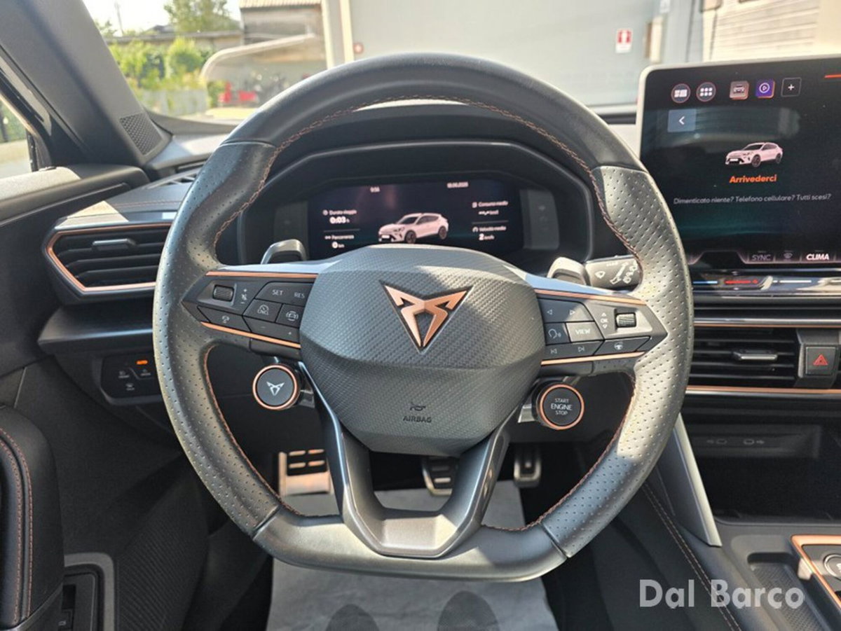 Cupra Formentor Formentor 2.0 TDI (15)