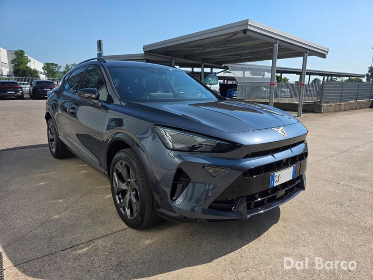Cupra Formentor Formentor 2.0 TDI (3)