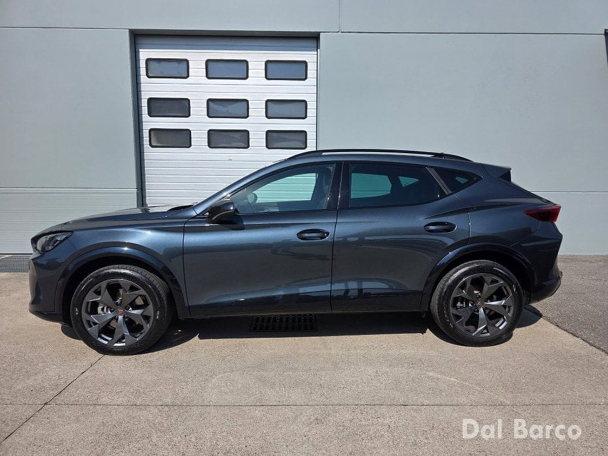 Cupra Formentor Formentor 2.0 TDI (7)