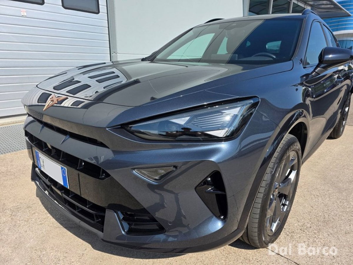 Cupra Formentor Formentor 2.0 TDI (8)