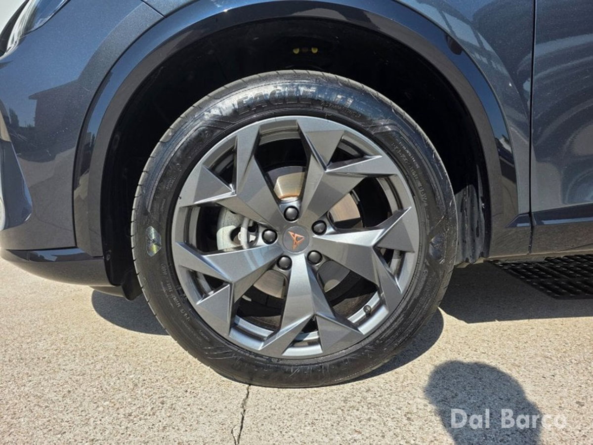 Cupra Formentor Formentor 2.0 TDI (9)