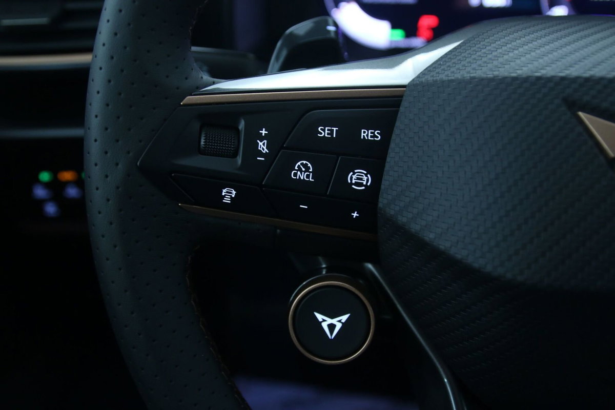 Cupra Formentor Formentor 1.5 TSI (18)