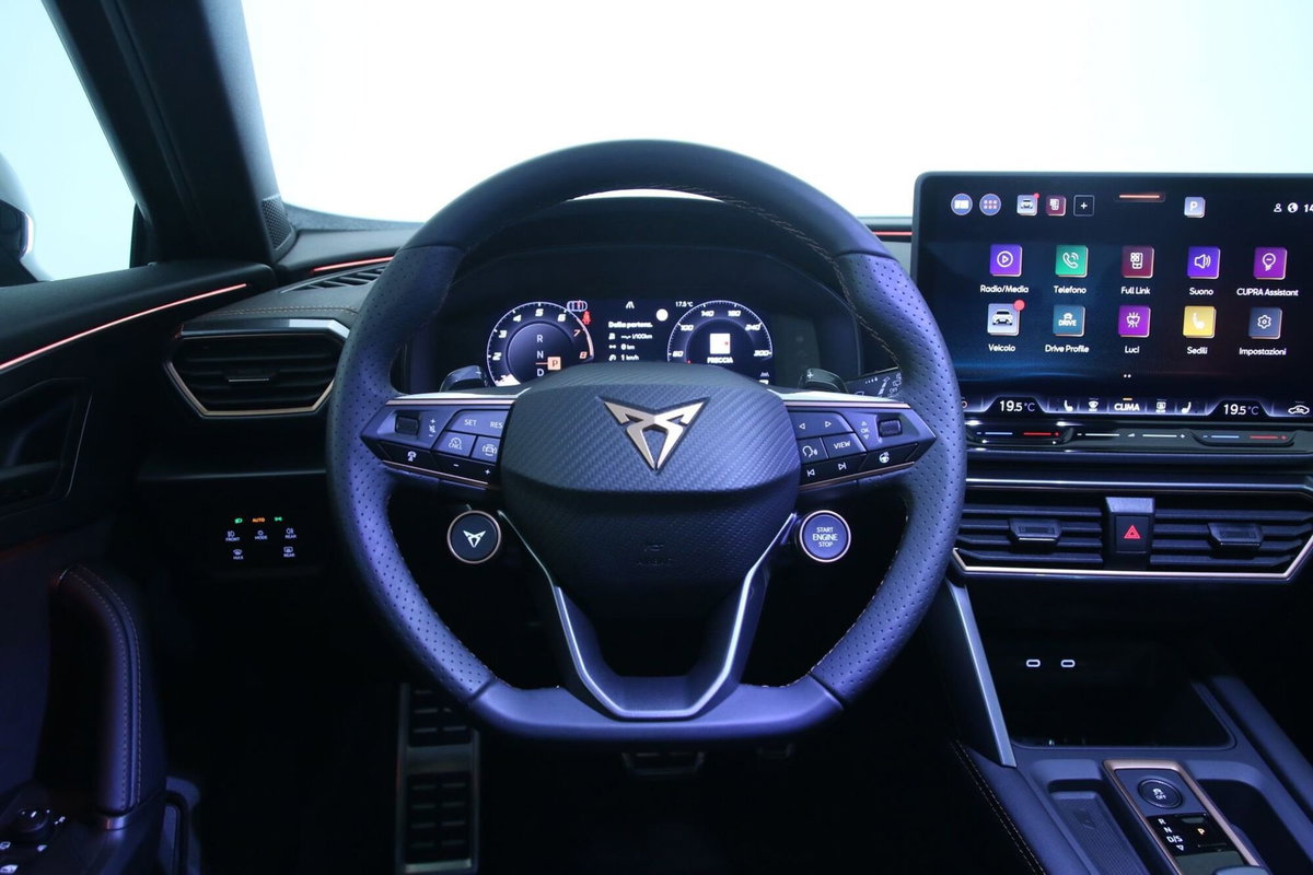 Cupra Formentor Formentor 1.5 TSI (10)