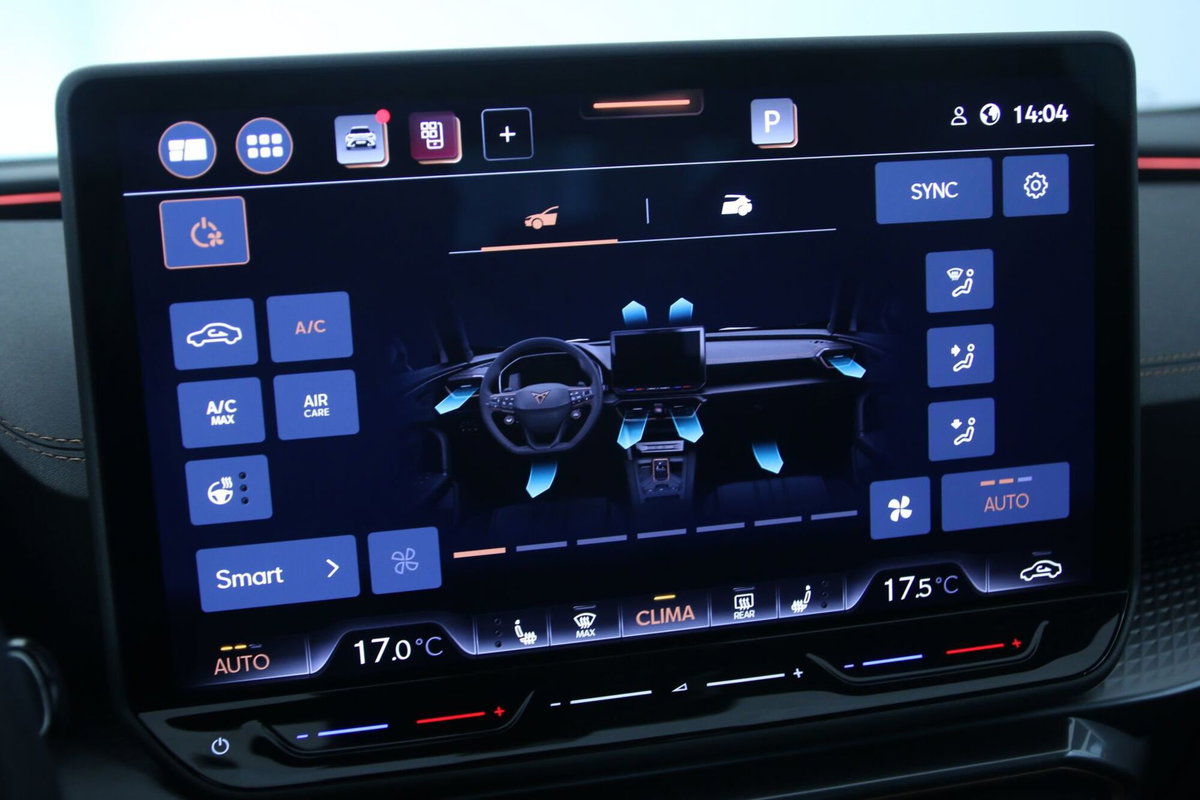 Cupra Formentor Formentor 1.5 TSI (20)