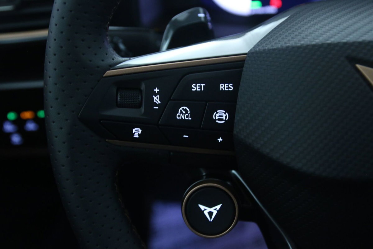 Cupra Formentor Formentor 1.5 TSI (20)