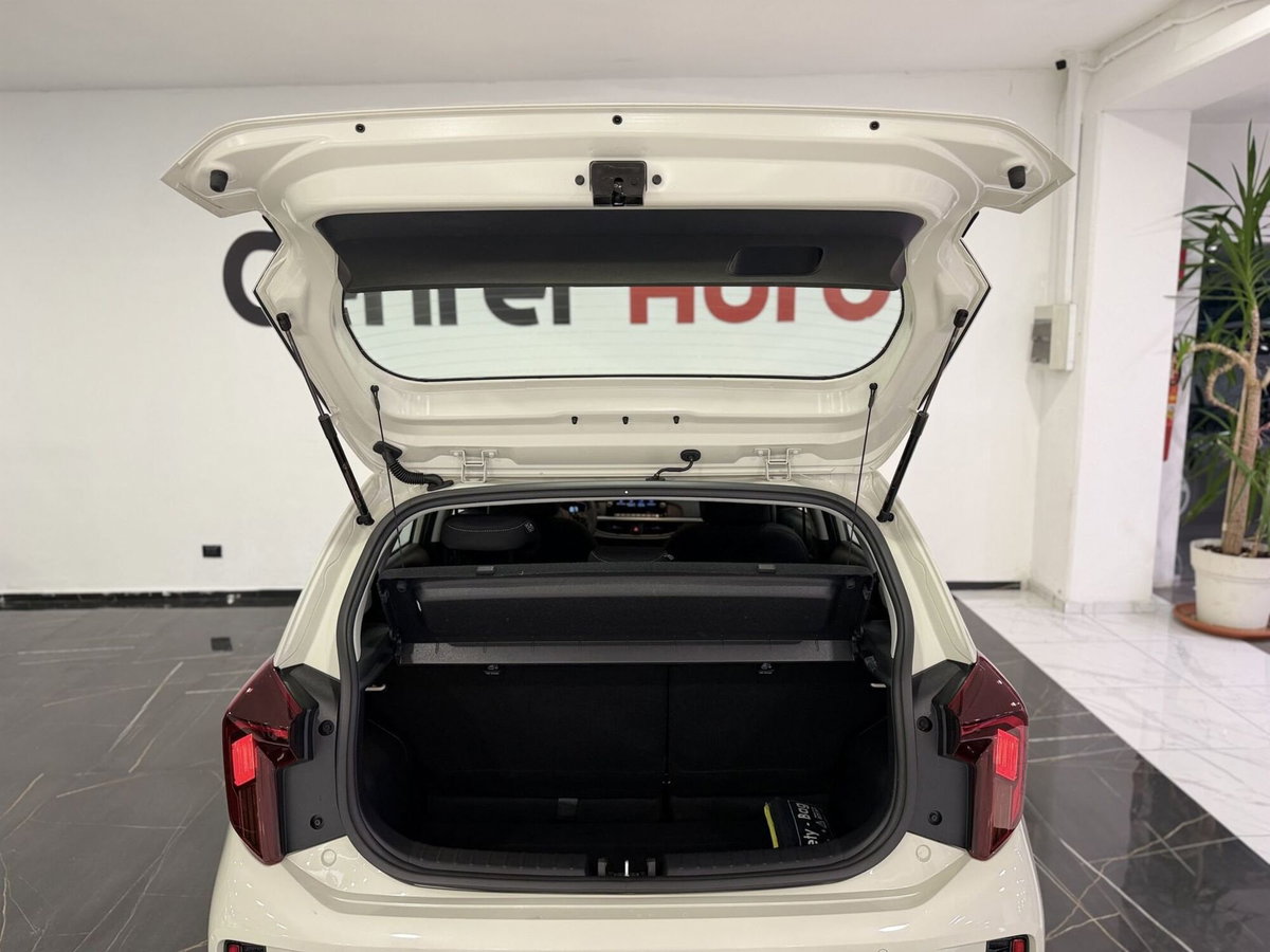 Kia Picanto 1.0 mpi Urban amt (7)