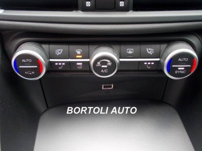 Alfa Romeo Stelvio Stelvio 2.2 Turbodiesel 210 CV AT8 Q4 Veloce (15)