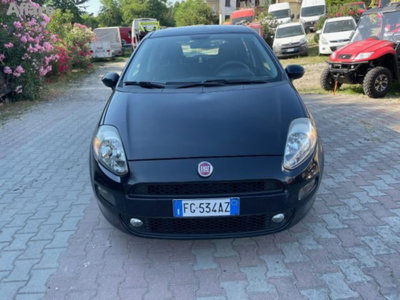 Fiat Punto 1.3 MJT II S&S 95 CV 5 porte Street (8)