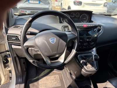 Lancia Ypsilon 1.3 MJT 16V 95 CV 5 porte S&S Platinum (12)