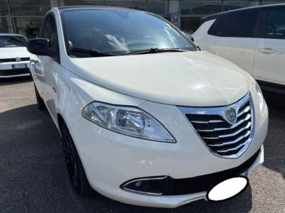 Lancia Ypsilon 1.3 MJT 16V 95 CV 5 porte S&S Platinum (3)