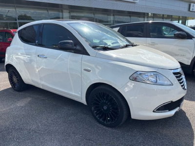 Lancia Ypsilon 1.3 MJT 16V 95 CV 5 porte S&S Platinum (4)