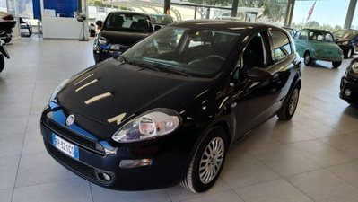 Fiat Punto 1.3 MJT II S&S 95 CV 5 porte Street usata