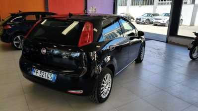 Fiat Punto 1.3 MJT II S&S 95 CV 5 porte Street (4)