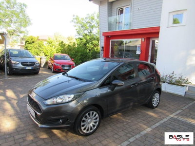Ford Fiesta 1.4 5 porte Bz.- GPL Titanium (2)