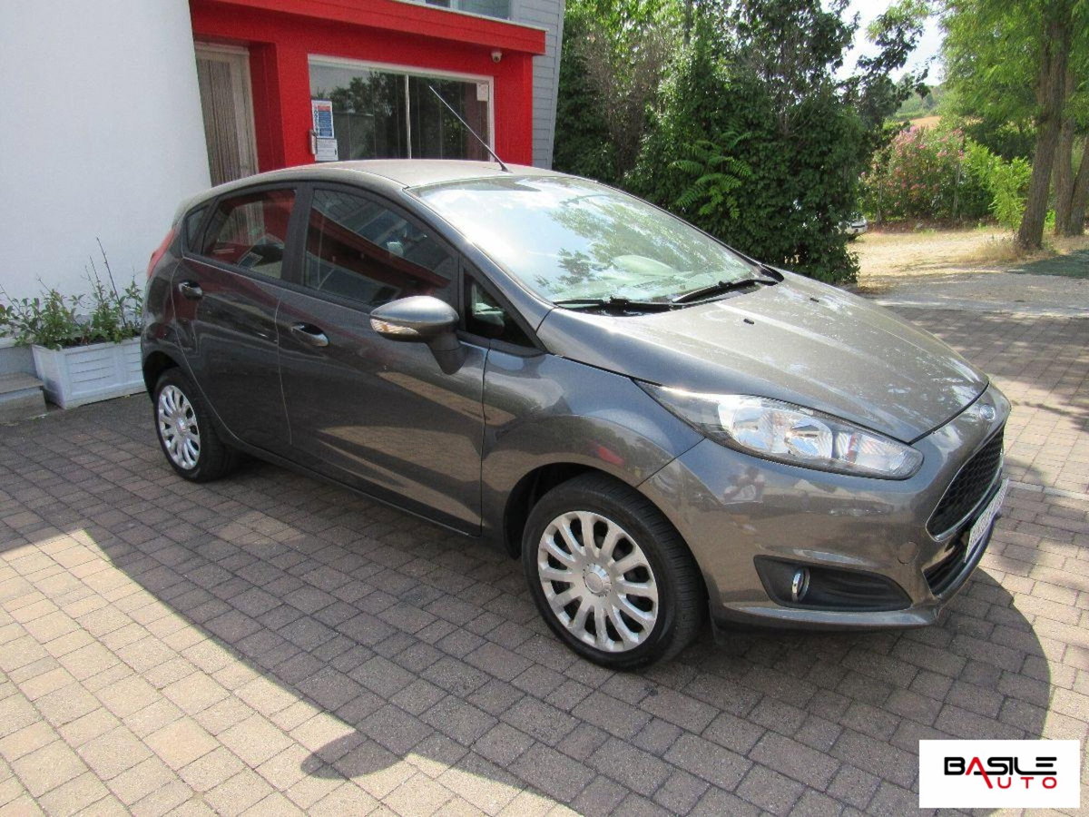 Ford Fiesta 1.4 5 porte Bz.- GPL Titanium (3)