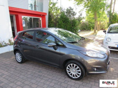 Ford Fiesta 1.4 5 porte Bz.- GPL Titanium (3)