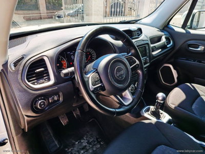Jeep Renegade 1.6 Mjt 120 CV Limited (9)