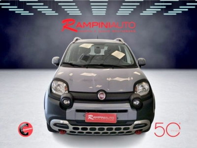 Fiat Panda Cross Cross 0.9 TwinAir Turbo S&S 4x4 (3)