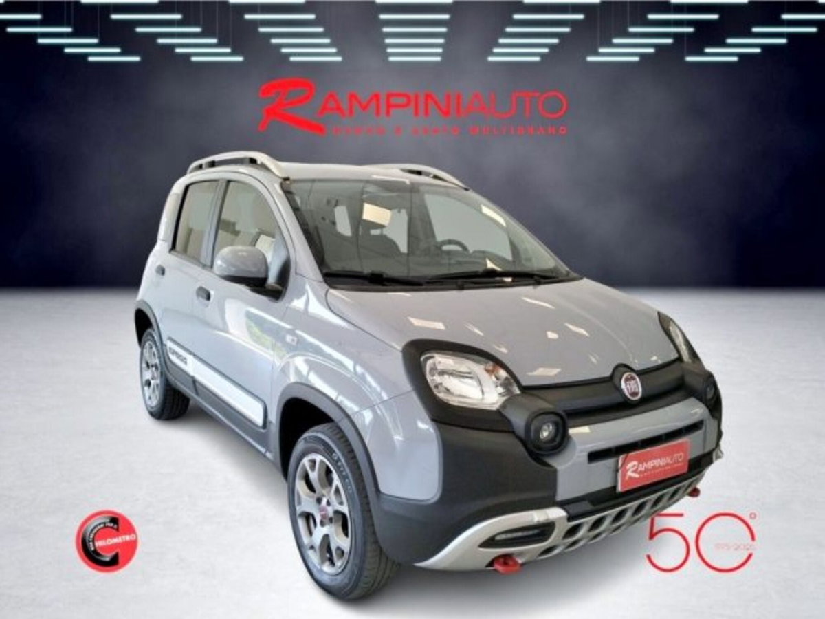 Fiat Panda Cross Cross 0.9 TwinAir Turbo S&S 4x4 (4)