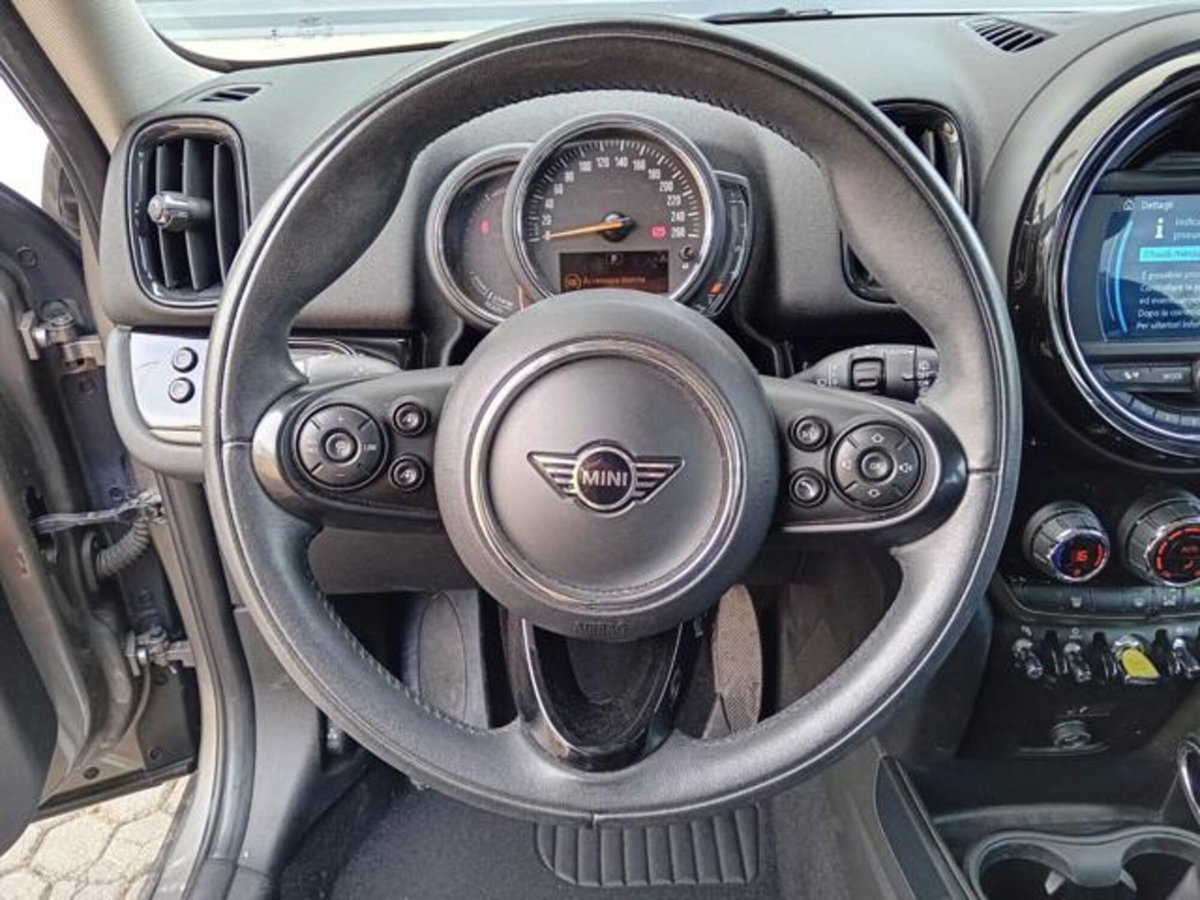 MINI Mini Countryman 1.5 Cooper Business Countryman ALL4 Automatica (13)