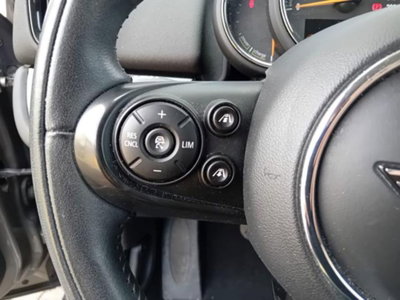 MINI Mini Countryman 1.5 Cooper Business Countryman ALL4 Automatica (14)