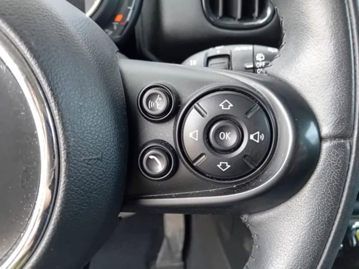 MINI Mini Countryman 1.5 Cooper Business Countryman ALL4 Automatica (15)