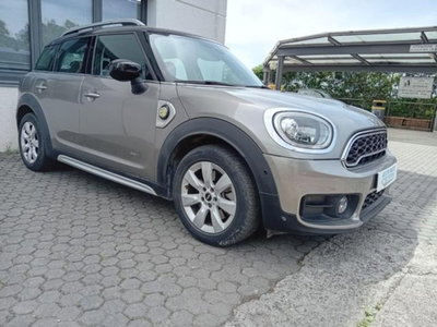 MINI Mini Countryman 1.5 Cooper Business Countryman ALL4 Automatica (3)