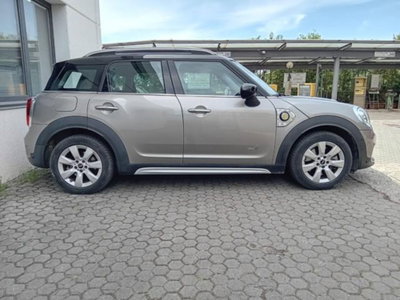 MINI Mini Countryman 1.5 Cooper Business Countryman ALL4 Automatica (4)