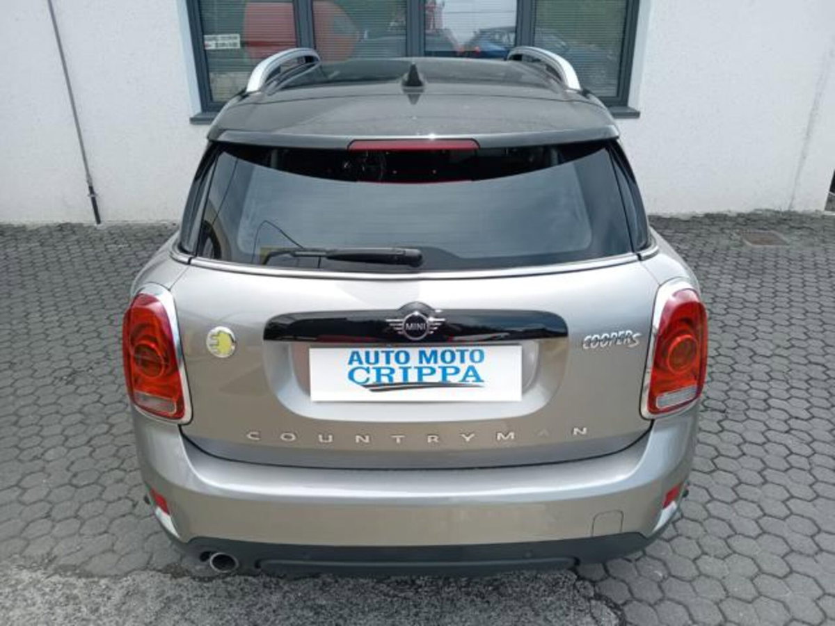 MINI Mini Countryman 1.5 Cooper Business Countryman ALL4 Automatica (6)