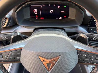 Cupra Formentor Formentor 2.0 tdi 4drive 150cv dsg (14)