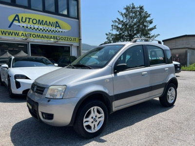 Fiat Panda 1.2 4x4 usata