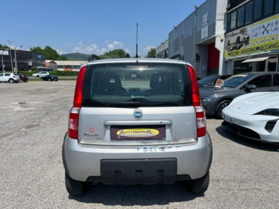 Fiat Panda 1.2 4x4 (4)