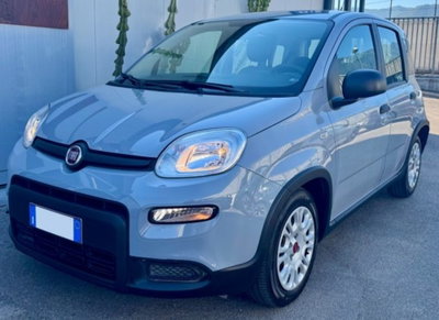 Fiat Panda 1.0 firefly hybrid s&s 70cv 5p.ti usata