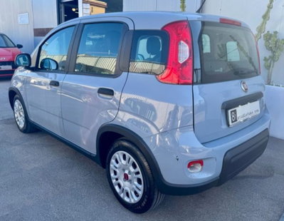 Fiat Panda 1.0 firefly hybrid s&s 70cv 5p.ti (2)
